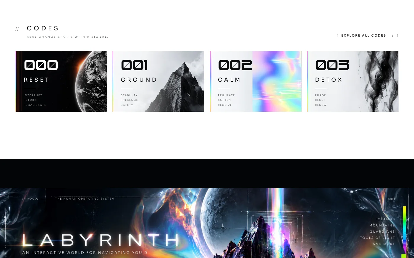 The Codes section of the home page, with four cards: 000 RESET, 001 GROUND, 002 CALM and 003 DETOX